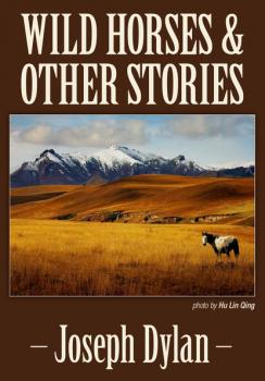 Wild Horses and Other Stories - Joseph Dylan 