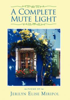 A Complete Mute Light - Jerilyn Miripol 
