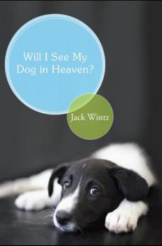 Will I See My Dog in Heaven? - Jack Wintz US