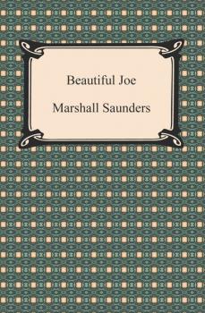 Beautiful Joe - Marshall  Saunders 