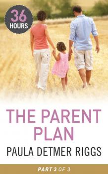 The Parent Plan Part 3 - Paula Riggs Detmer 