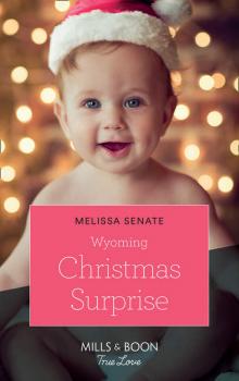 Wyoming Christmas Surprise - Melissa  Senate 