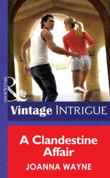 A Clandestine Affair - Joanna  Wayne 