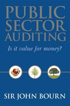 Public Sector Auditing - Группа авторов 