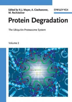 Protein Degradation - Martin  Rechsteiner 