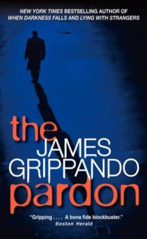 Pardon - James  Grippando Jack Swyteck Novel