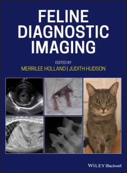 Feline Diagnostic Imaging - Группа авторов 