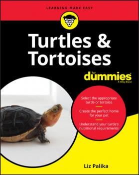 Turtles and Tortoises For Dummies - Liz  Palika 