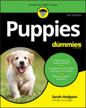 Puppies For Dummies - Sarah  Hodgson 