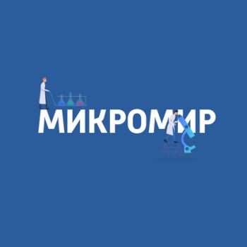 Вирус герпеса и папилломавирусы - Картаев Павел Микромир