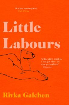 Little Labours - Rivka  Galchen 