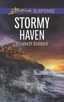 Stormy Haven - Elizabeth Goddard Coldwater Bay Intrigue