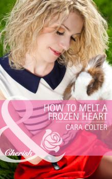 How to Melt a Frozen Heart - Cara Colter Mills & Boon Cherish