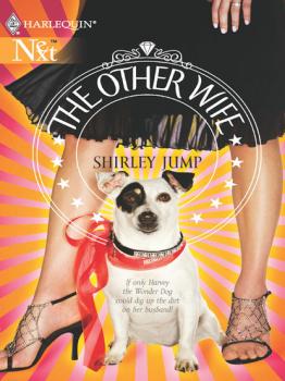 The Other Wife - Shirley Jump Mills & Boon M&B