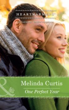 One Perfect Year - Melinda Curtis A Harmony Valley Novel