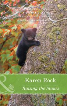 Raising the Stakes - Karen Rock Mills & Boon Heartwarming