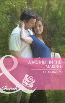 A Mother in the Making - Lilian Darcy Mills & Boon Cherish
