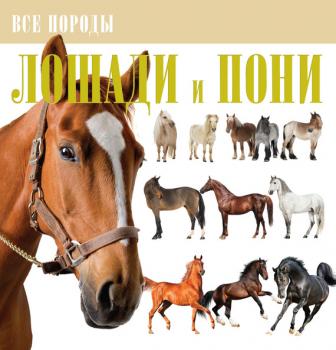 Лошади и пони - Владимир Жабцев Все породы
