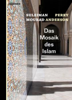 Das Mosaik des Islam - Perry Anderson 