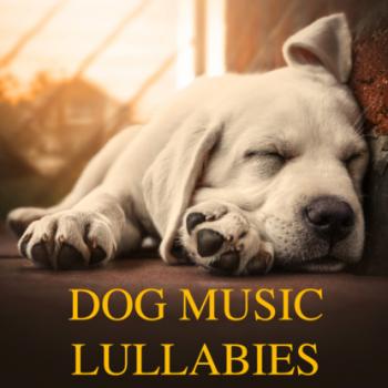 Dog Music Lullabies (Relaxing Piano Music for Dogs and Soothing Sleeping Music for Pets) - Pet Jones 