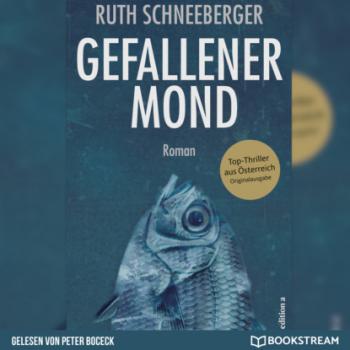 Gefallener Mond - Roman (Ungekürzt) - Ruth Schneeberger 
