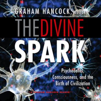 The Divine Spark - A Graham Hancock Reader: Psychedelics, Consciousness, and the Birth of Civilization (Unabridged) - Graham Hancock 
