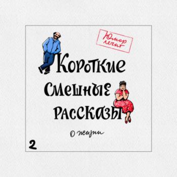 Короткие смешные рассказы о жизни 2 - Николай Юрьевич Виноградов 