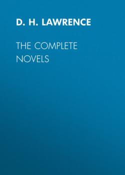 The Complete Novels - D. H. Lawrence 