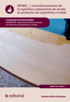 Acondicionamiento de la superficie y operaciones de secado en productos de carpintería y mueble. MAMD0109 - Esteban Molina Rodríguez 