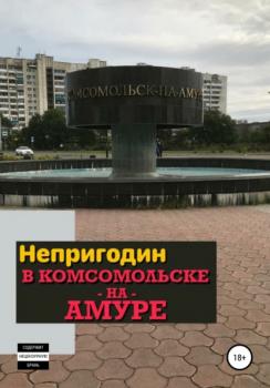 Непригодин в Комсомольске-на-Амуре - Павел Александрович Ежов 