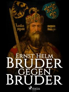 Bruder gegen Bruder - Ernst Helm 