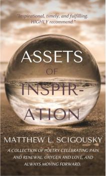 Assets Of Inspiration - Matthew L. Scigousky 
