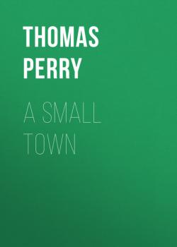 A Small Town - Thomas  Perry 