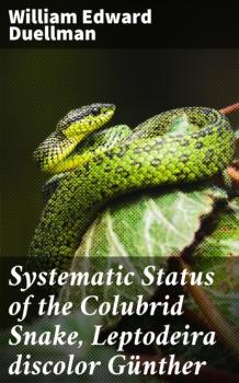 Systematic Status of the Colubrid Snake, Leptodeira discolor Günther - William Edward Duellman 