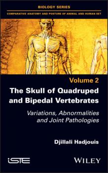 The Skull of Quadruped and Bipedal Vertebrates - Djillali Hadjouis 