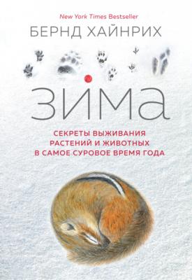 Зима: Секреты выживания растений и животных в самое суровое время года - Бернд Хайнрих 