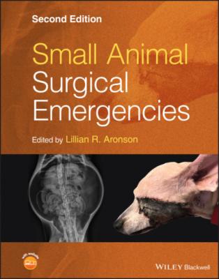 Small Animal Surgical Emergencies - Группа авторов 