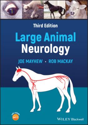 Large Animal Neurology - Joe Mayhew 