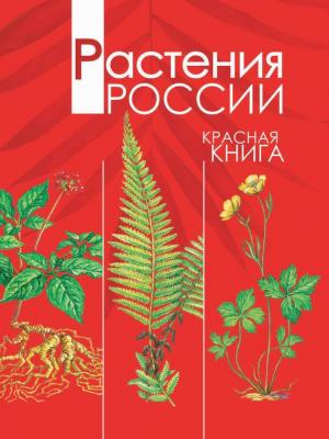 Растения России. Красная книга - А. В. Тихонов Красная книга (Росмэн)