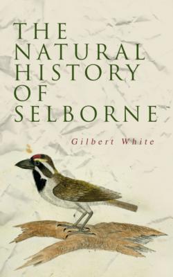 The Natural History of Selborne - Gilbert White 