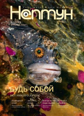 Нептун №1/2021 - Группа авторов Журнал «Нептун» 2021