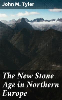 The New Stone Age in Northern Europe - John M. Tyler 
