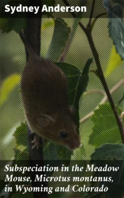 Subspeciation in the Meadow Mouse, Microtus montanus, in Wyoming and Colorado - Sydney Anderson 