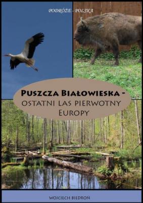 Puszcza Białowieska - Ostatni las pierwotny Europy - Wojciech Biedroń 