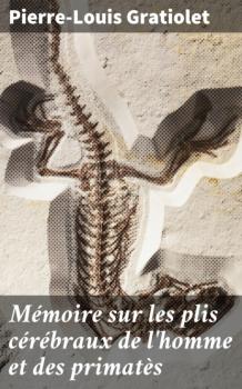 Mémoire sur les plis cérébraux de l'homme et des primatès - Pierre-Louis Gratiolet 