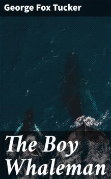 The Boy Whaleman - George Fox Tucker 