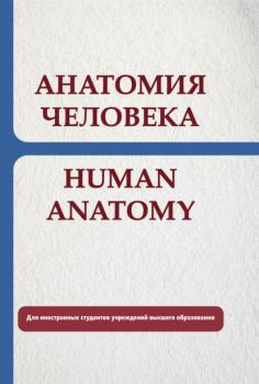 Анатомия человека. Human anatomy - Е. С. Околокулак 