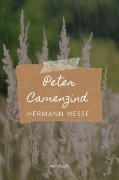 Peter Camenzind - Герман Гессе 