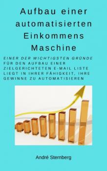 Aufbau einer automatisierten Einkommens Maschine - André Sternberg 