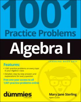 Algebra I: 1001 Practice Problems For Dummies (+ Free Online Practice) - Mary Jane Sterling 